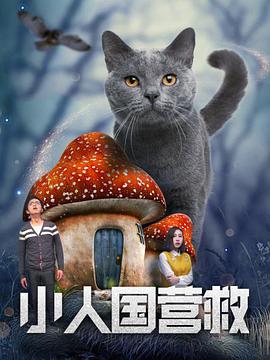 久久99亚洲综合精品首页