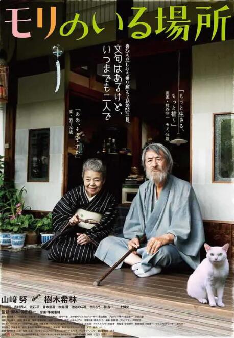 亚洲精品国产不卡在线观看
