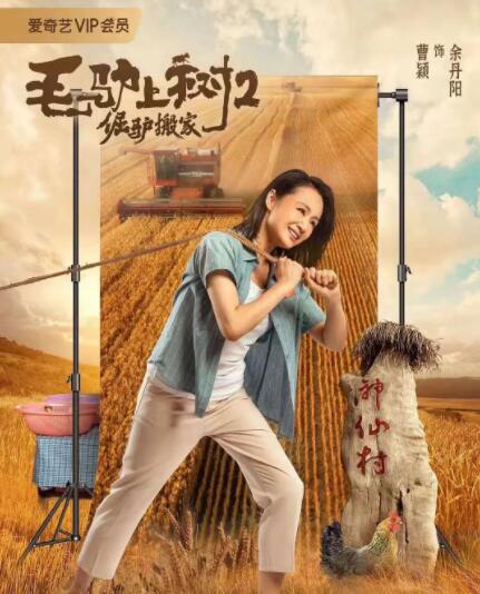 精品亚洲视频在线观看