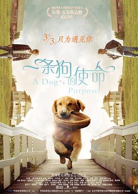 污污视频免费在线看