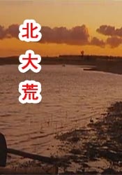 爱情的烙印