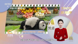 日韩精品网